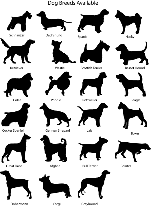 Categories+of+dogs
